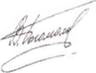 Bogomolov's signature